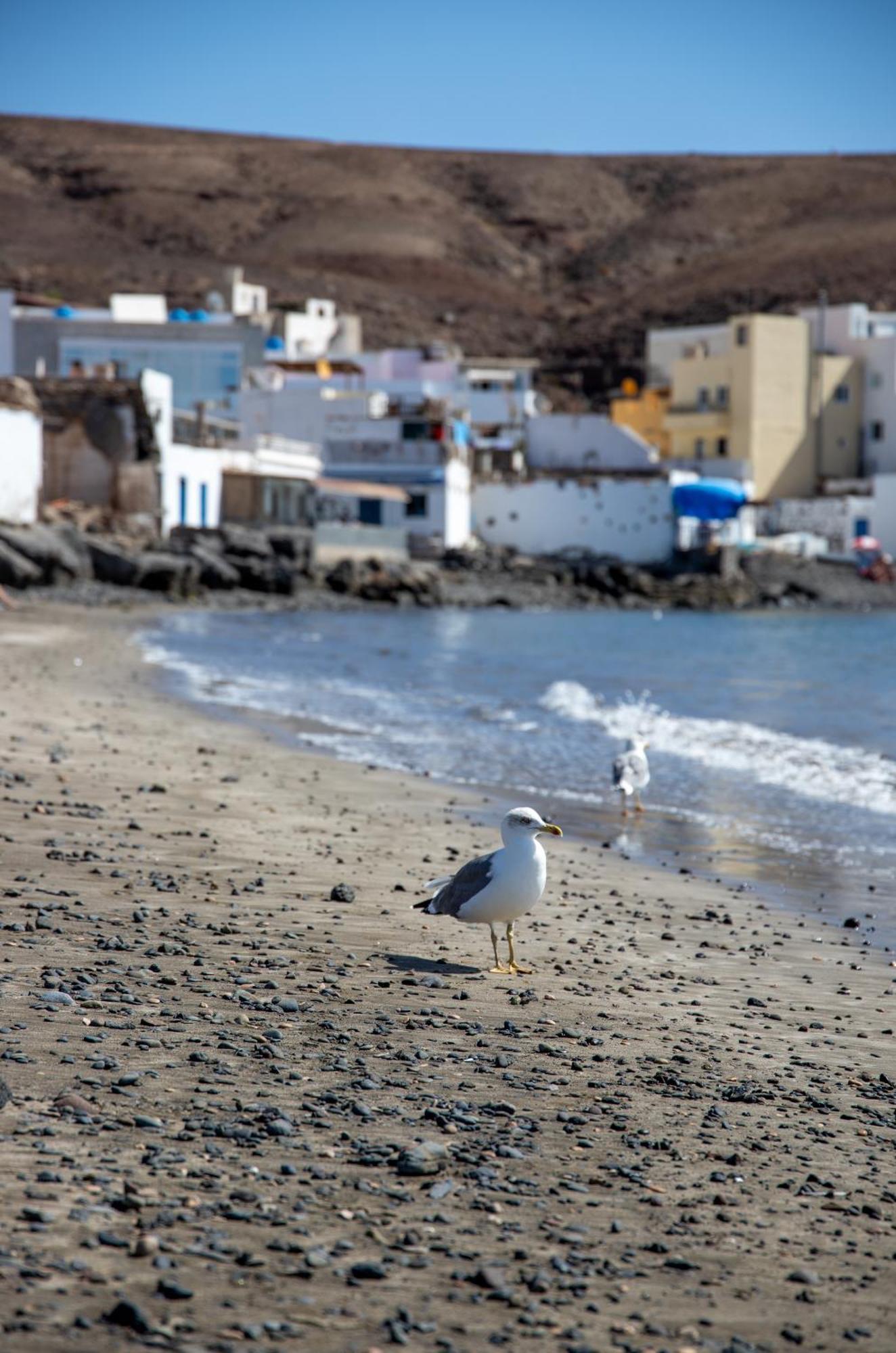 Palm Beach Fuerteventura Тарахалехо Экстерьер фото